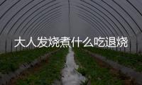 大人發燒煮什么吃退燒