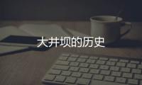 大井壩的歷史