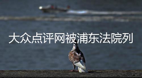 大眾點評網被浦東法院列為被執行人，執行標的33萬余元