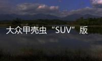 大眾甲殼蟲“SUV”版今日上市 售23萬起
