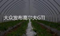 大眾發(fā)布高爾夫GTI TCR公路版預(yù)告圖