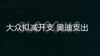 大眾擬減開支 奧迪支出規模與2015年相當