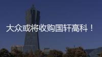 大眾或將收購國軒高科！
