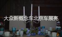 大眾新概念車北京車展亮相 大型SUV/混動