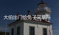 大伯出門給兔子采草料 離奇失蹤半個月