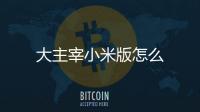 大主宰小米版怎么