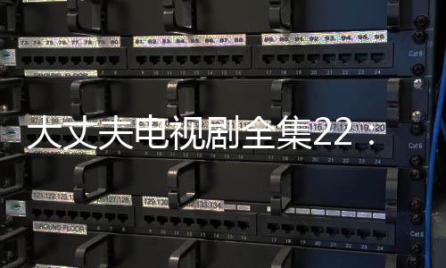 大丈夫電視劇全集22：顧媽媽安詳離世  樂樂由曉巖撫養，1