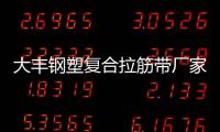 大豐鋼塑復合拉筋帶廠家采購供應