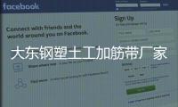 大東鋼塑土工加筋帶廠家采購供應
