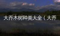 大喬木樹種類大全（大喬木）