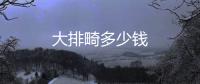 大排畸多少錢