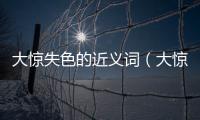 大驚失色的近義詞（大驚失色的反義詞）