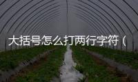 大括號怎么打兩行字符（大括號怎么打兩行字）