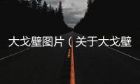 大戈壁圖片（關于大戈壁的資料）