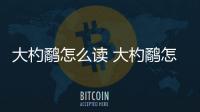 大杓鷸怎么讀 大杓鷸怎么讀