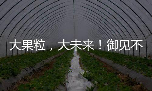 大果粒，大未來！御見不凡大果粒果汁大熱品類，經銷商搶著代理！