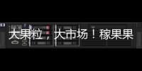 大果粒，大市場！稼果果粒果汁打造爆品通行證！