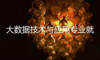 大數據技術與應用專業就業前景調查研究