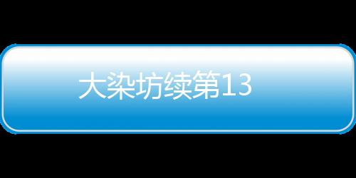 大染坊續(xù)第13