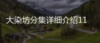 大染坊分集詳細介紹11