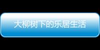 大柳樹(shù)下的樂(lè)居生活