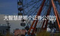 大智慧是哪個證券公司的交易軟件，大智慧證券信息平臺