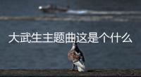 大武生主題曲這是個什么梗?