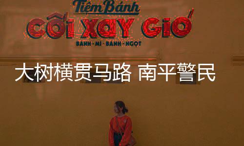大樹(shù)橫貫馬路 南平警民攜手清理