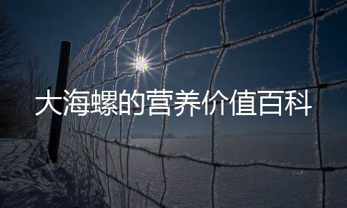 大海螺的營養(yǎng)價值百科