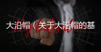 大沿帽（關(guān)于大沿帽的基本情況說(shuō)明介紹）