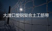 大渡口塑鋼復合土工筋帶規格