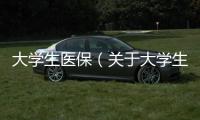 大學生醫保（關于大學生醫保的基本情況說明介紹）