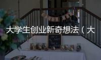 大學生創業新奇想法（大學生創意創業想法）