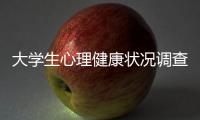 大學生心理健康狀況調查出爐！升學成最大風險因素
