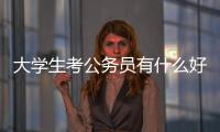 大學生考公務員有什么好處（考公務員有什么好處）