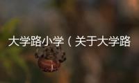 大學路小學（關于大學路小學的基本情況說明介紹）