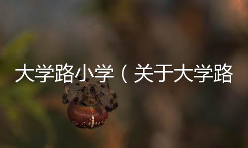 大學路小學（關于大學路小學的基本情況說明介紹）