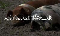 大宗商品運價持續(xù)上漲 運價飆升船廠訂單大增