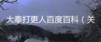 大奉打更人百度百科（關(guān)于大奉打更人百度百科的基本情況說明介紹）