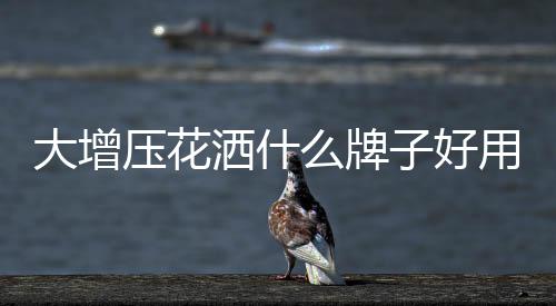 大增壓花灑什么牌子好用？增壓花灑是什么意思？