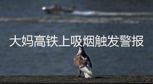 大媽高鐵上吸煙觸發(fā)警報 當場下跪求饒！該原諒她嗎