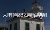 大律師筆記之離婚辭典劇情簡介