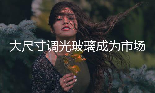 大尺寸調(diào)光玻璃成為市場潮流,產(chǎn)品視窗