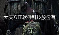 大慶方正軟件科技股份有限公司和大慶正方軟件科技翟朋元的詳細介紹