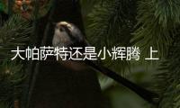 大帕薩特還是小輝騰 上汽大眾
