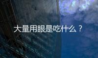大量用眼是吃什么？
