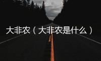大非農（大非農是什么）