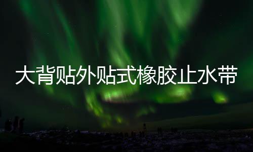 大背貼外貼式橡膠止水帶價格及規格