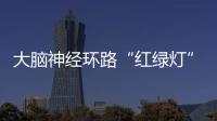 大腦神經環路“紅綠燈”失控會導致社交恐懼