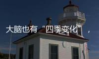 大腦也有“四季變化”，專家講述如何早期篩選和識別“悲秋綜合征”